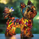 Radiant Yorkshire Terrier